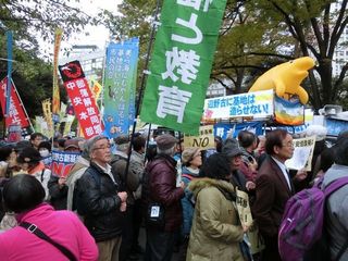CIMG5074.jpg