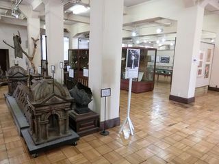 CIMG5601.jpg