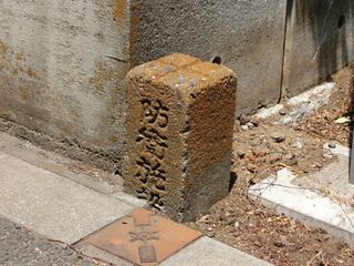 CIMG6244.jpg