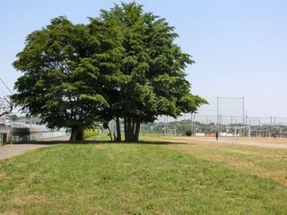 CIMG6252.jpg