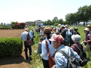 CIMG6281.jpg