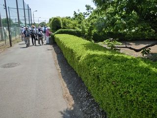 CIMG6363.jpg