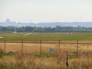 CIMG6378.jpg