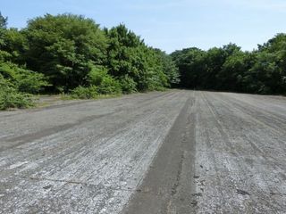CIMG6434.jpg