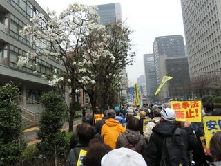 CIMG7771.jpg