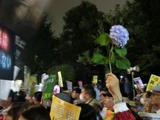 CIMG8388.jpg