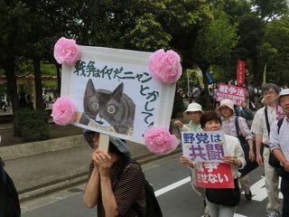 CIMG9225.jpg